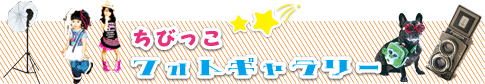 ���т����t�H�g�M�������[