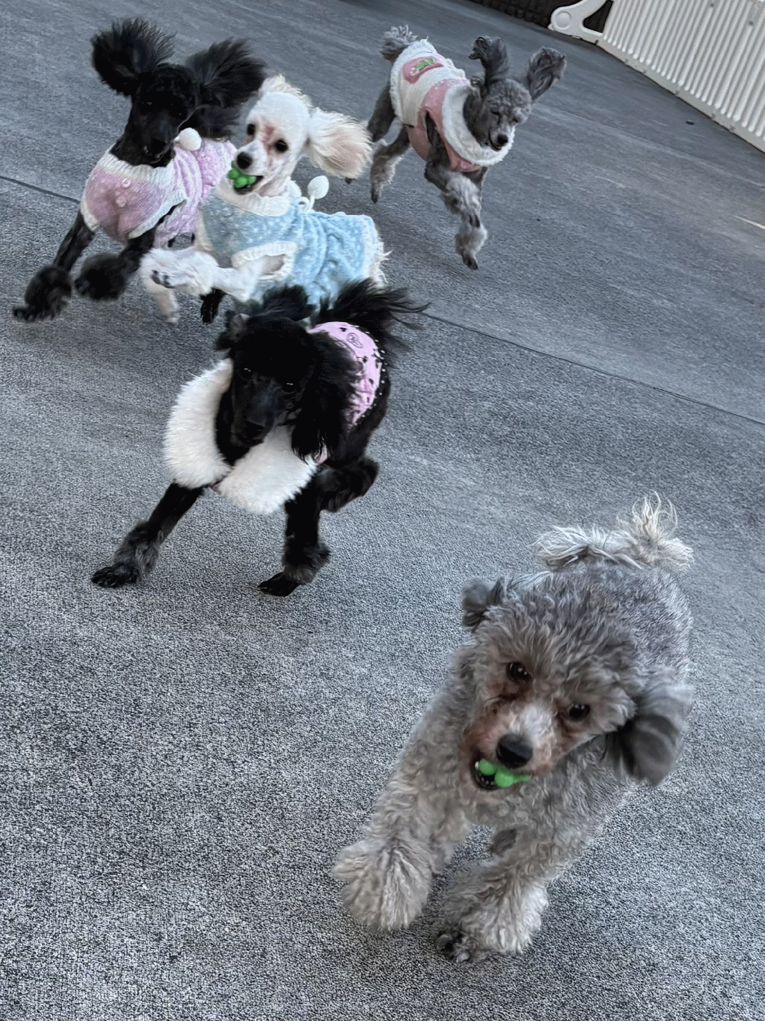 個人指導(1対1)月4回授業 6300円(税込)〜