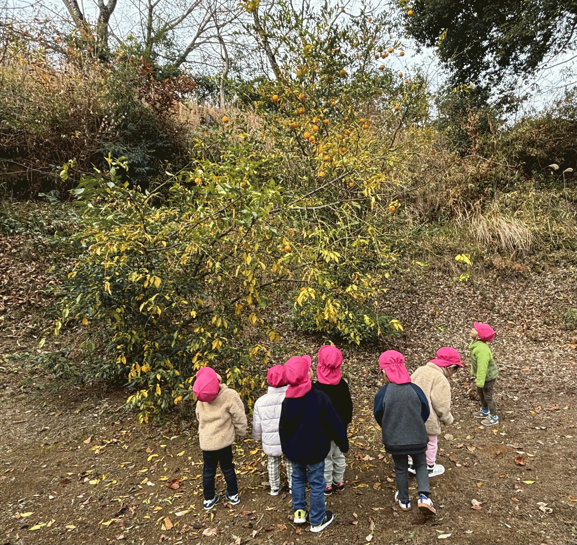 �ߘa�V�N12��11��(��)