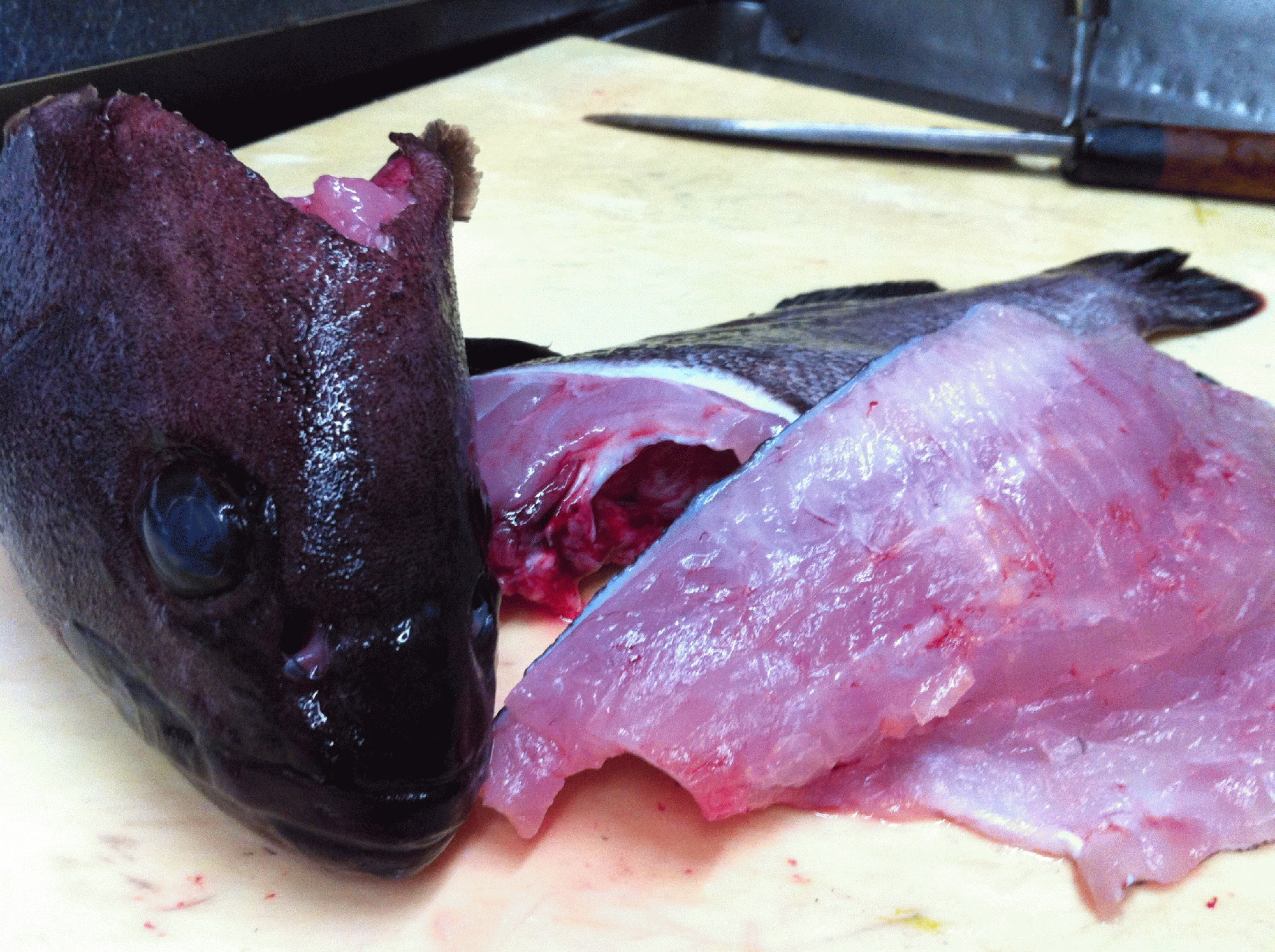 極上 極旨 極脂 ハタ刺 和食の店 新八