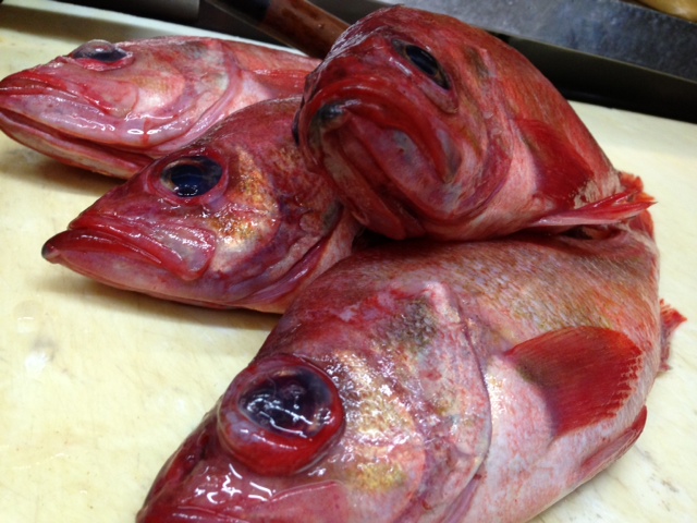 珍しいです 生の赤魚 和食の店 新八