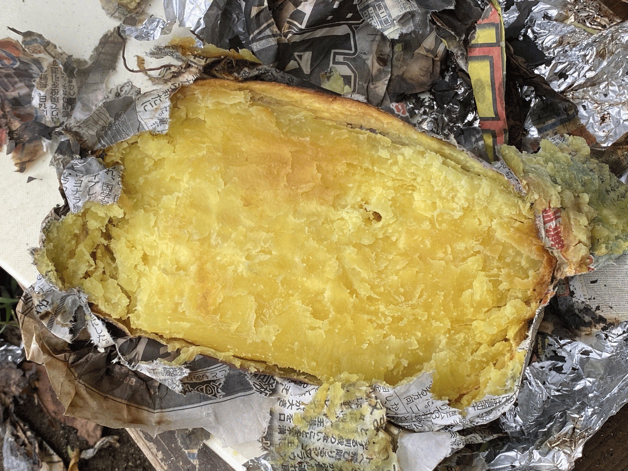 焼き芋会 動画はYouTubeでどうぞ