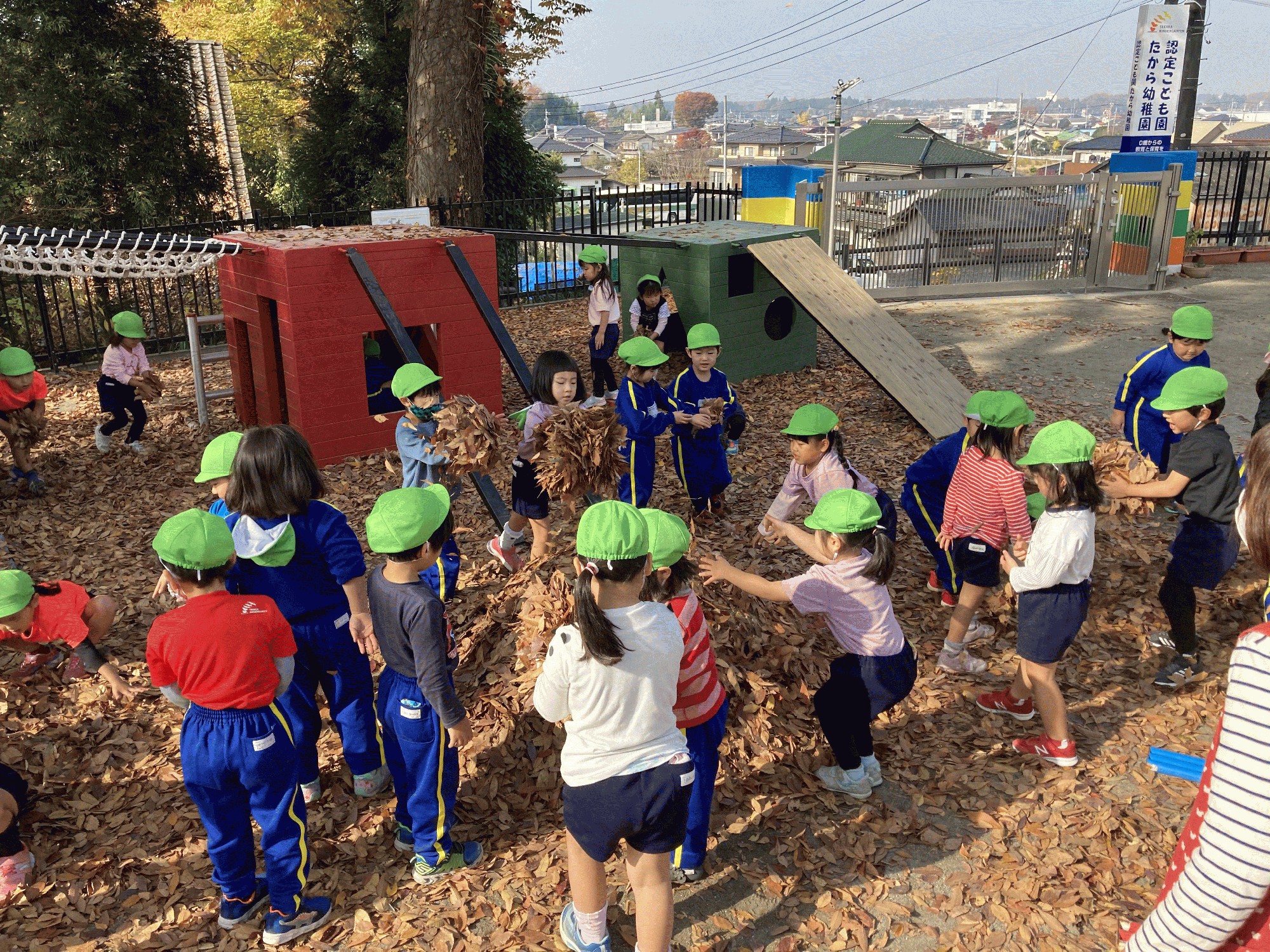 令和２年１１月１９日 木 認定こども園たから幼稚園