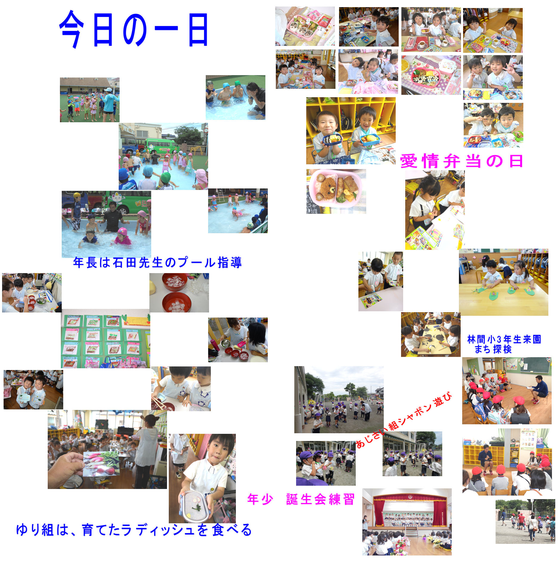 今日の一日 学校法人かつみ学園 大和山王幼稚園 木の子保育園 今日の一日 学校法人かつみ学園 大和山王幼稚園 木の子保育園