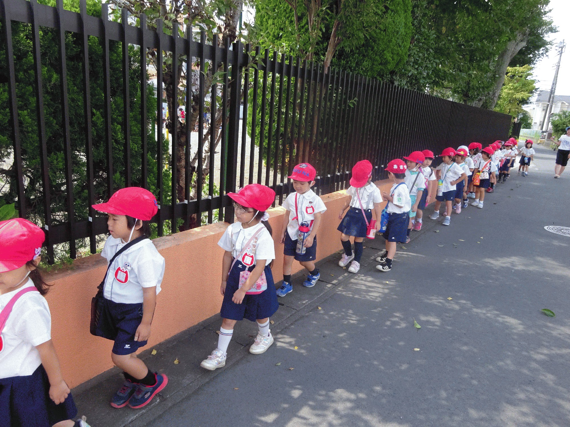 たんぽぽ組 学校法人かつみ学園 大和山王幼稚園 木の子保育園