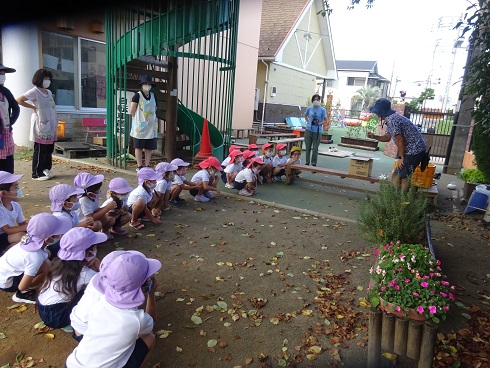 木工遊び 学校法人かつみ学園 大和山王幼稚園 木の子保育園