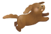 ct